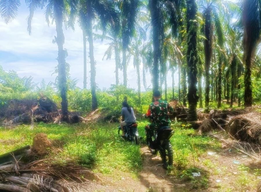 Babinsa TNI AD Melakukan Langkah Pencegahan Karhutla