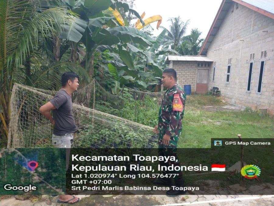 BABINSA TOAPAYA HIMBAU WARGA MANFAATKAN PEKARANGAN RUMAH