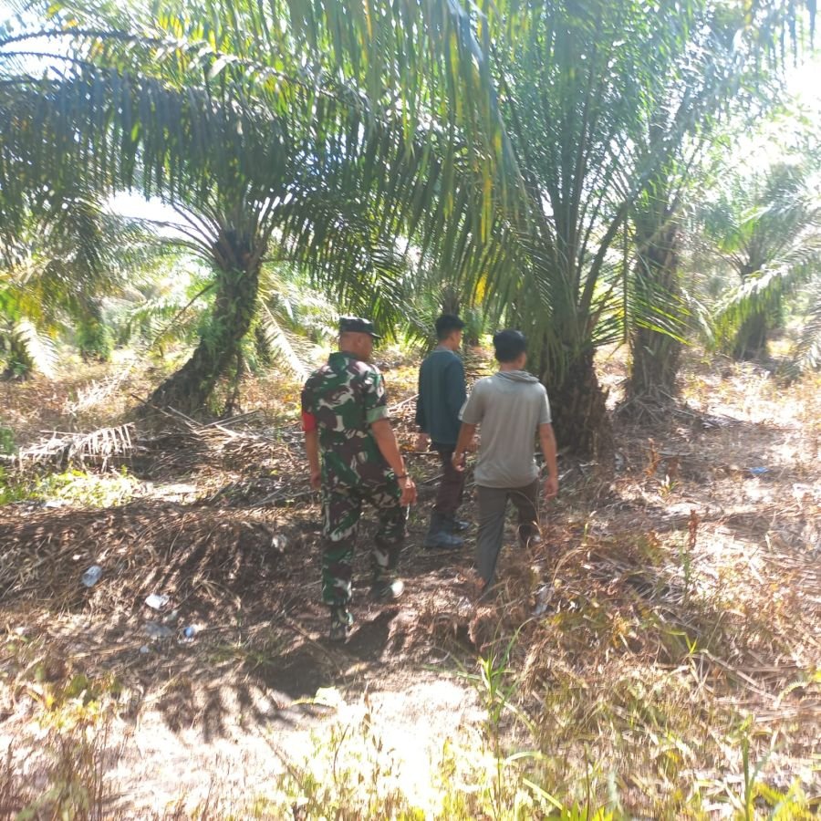 Babinsa Tualang Bergerak Cepat Cegah Karhutla di Perawang
