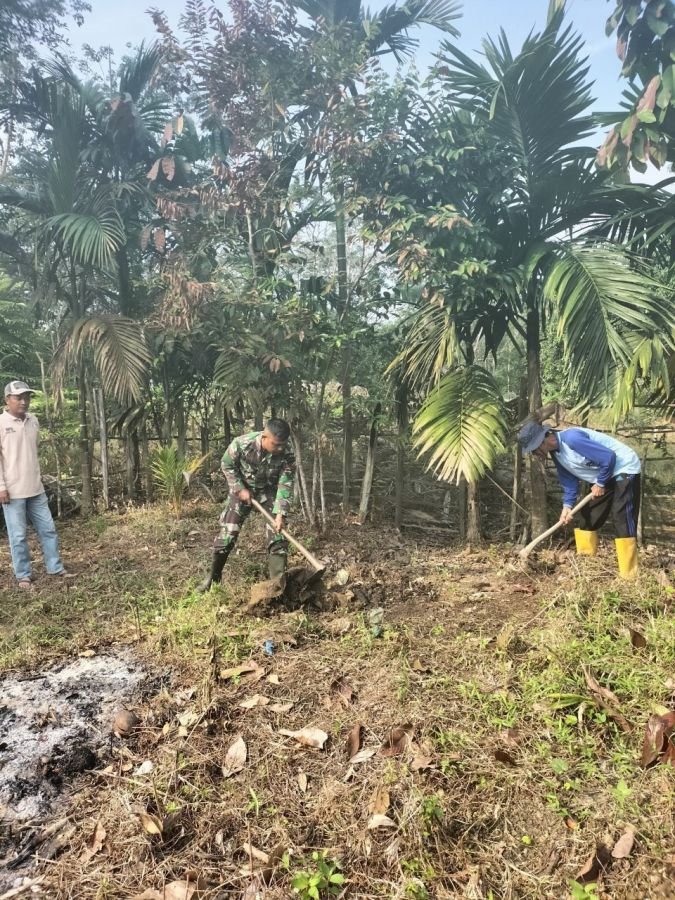 Babinsa Turun ke Sawah, Bantu Petani Siapkan Lahan Sayuran di Desa Pembatang