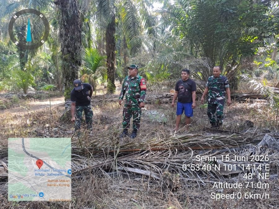 Babinsa Turun Lapangan Pastikan Libo Jaya Bebas Karhutla