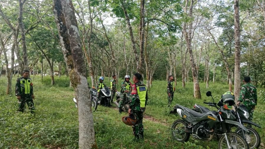 Babinsa Koramil 02/KT Intensifkan Patroli Karhutla di Geringging Jaya
