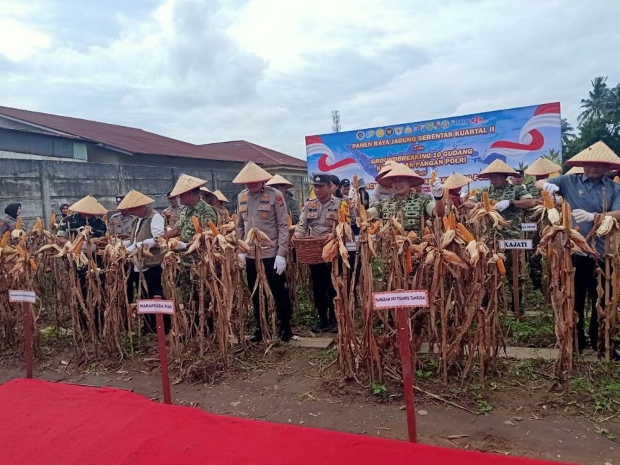 Batuud Koramil 07/Tenayan Raya Monitor Kegiatan Panen Raya Jagung Serentak Kuartal II Tahun 2026