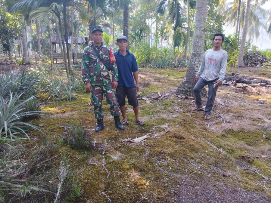 Batuud Koramil 11/PBR Patroli Tapal Batas, Wilayah Pulau Burung Aman dari Titik Api