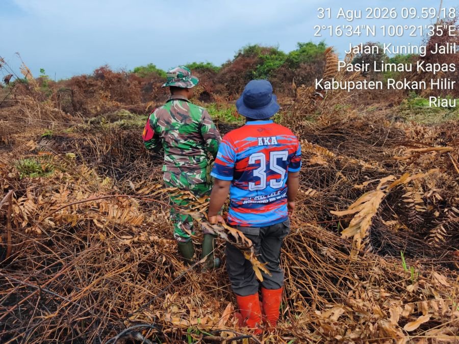 Bekas Karhutla 1 Hektare Dipantau, Babinsa Kubu Cegah Api Kembali Berkobar