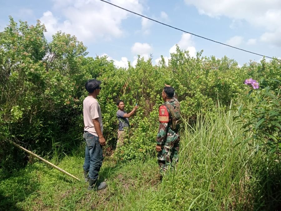 Bergerak cepat Seorang Babinsa Koramil 02 TEBING TINGGI untuk cegah api di desa Insit