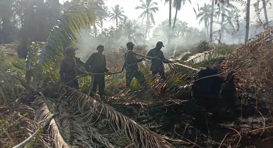 Berjuang Di Tanah Gambut, Babinsa Koramil 07/Reteh Padamkan Titik Api Bersama Warga
