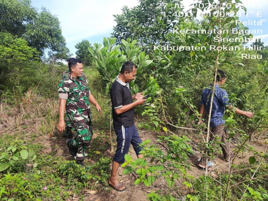 Bersama Masyarakat, Babinsa Koramil 0321-03/Bgs Rohil Laksanakan Patroli Karhutla 
