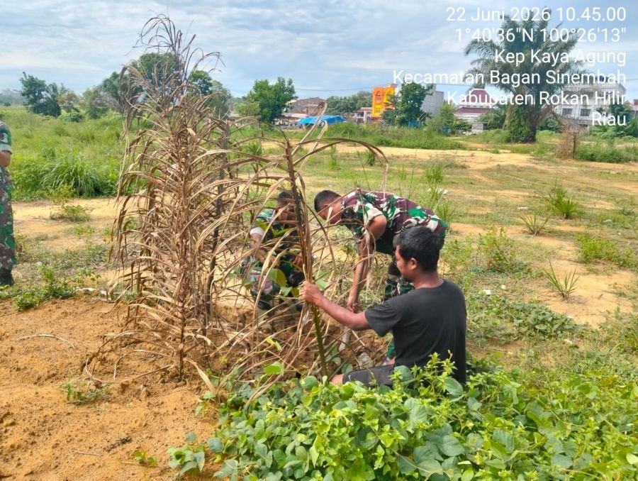 Bersama Warga, Babinsa Koramil 0321-03/Bgs Rohil Kembali Tanam Pohon