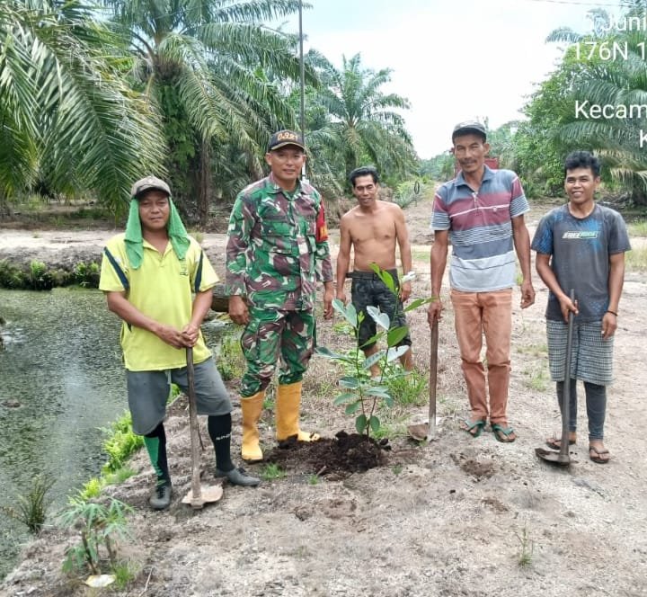 Bersama Warga, Babinsa Koramil 0321-03/Bgs Rohil Kembali Tanam Pohon Penghijauan 