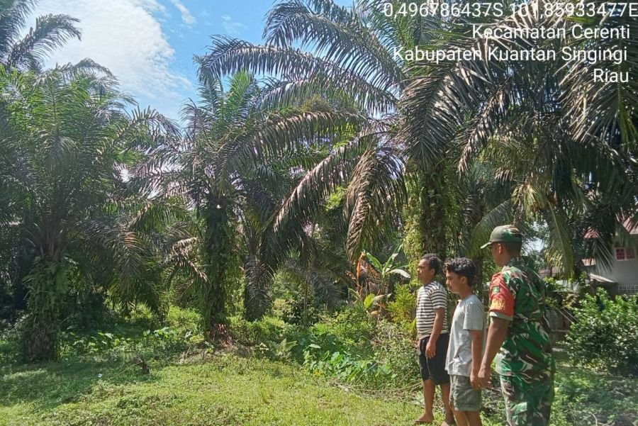 Bersama Warga, Babinsa Koramil 06/Cerenti Gencarkan Patroli Karhutla di Cerenti