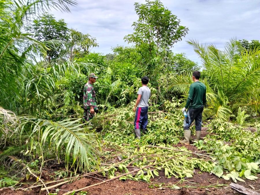 Bersatu Melawan Karhutla, Babinsa Koramil 05/Bukit Batu Gandeng Warga Patroli di Desa Sepahat