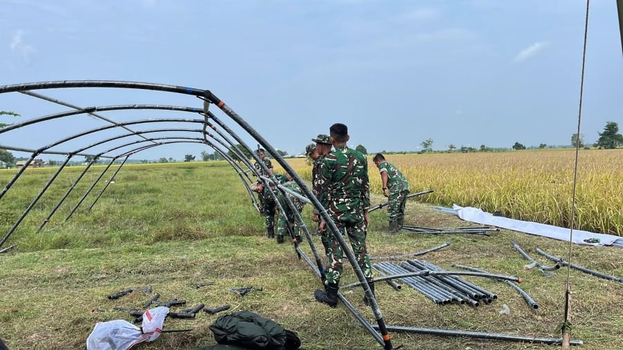 Brigif TP 89/GG Matangkan Panen Raya Demi Perkuat Ketahanan Pangan