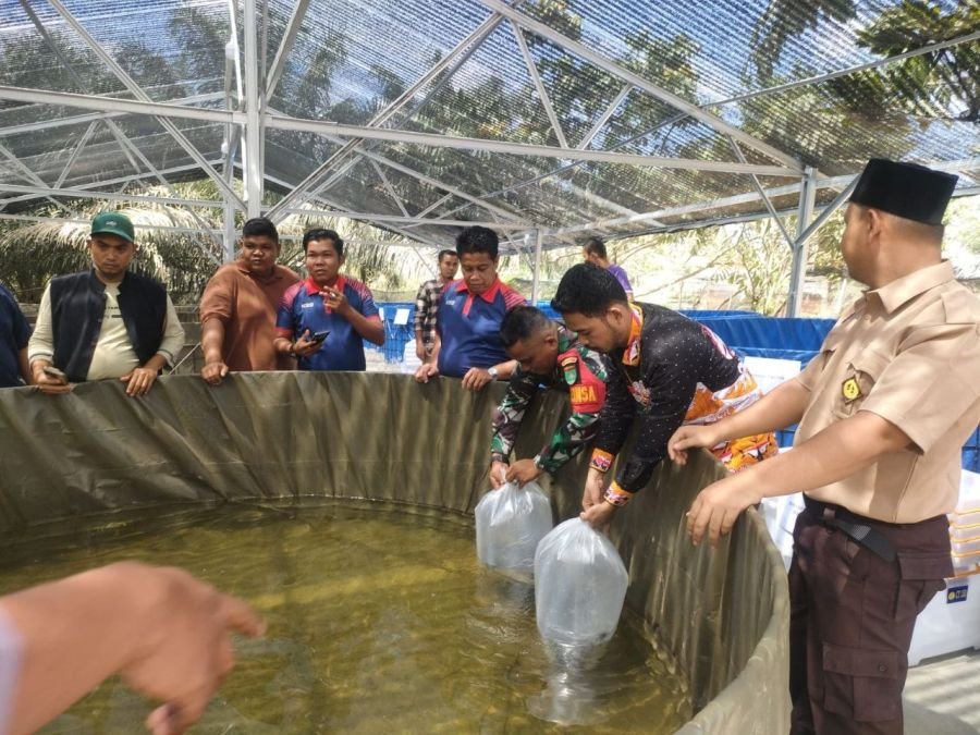 Budidaya Ikan Jadi Andalan, Babinsa Dukung Ekonomi Warga