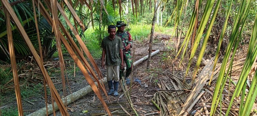 Bukan Menunggu Api, Serda Syahrul Bergerak Lebih Dulu Jaga Lahan Gambut Mekar Sari