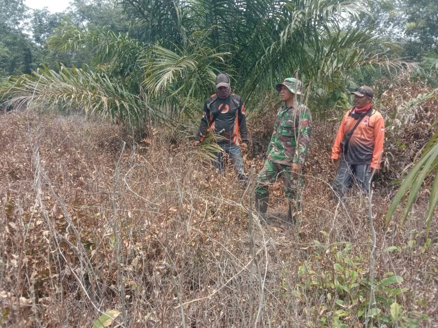 Bukan Sekadar Patroli, Babinsa Rupat Ajak Warga Jaga Lahan Sebelum Api Bicara
