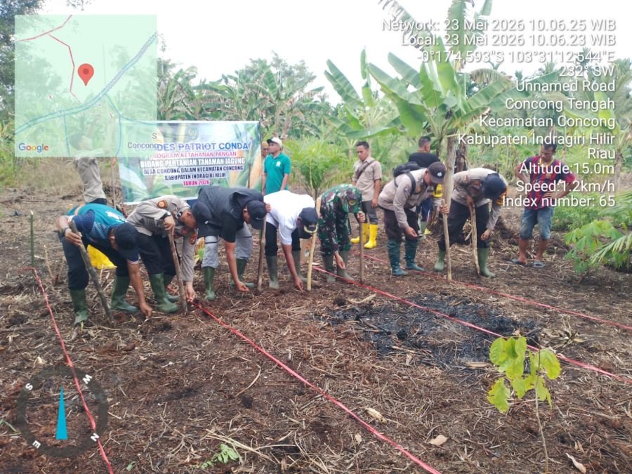 BUMDes Patriot Conda Mulai Tanam Jagung, Danpos  Concong Koramil 04/Kuindra Turun Langsung