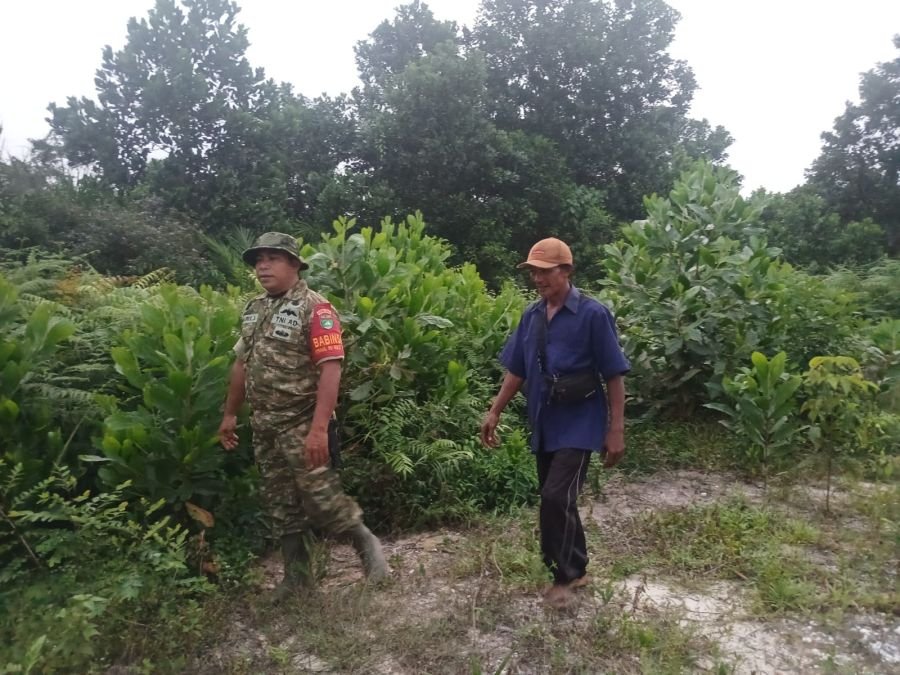 Cegah Api Sebelum Membara, Babinsa dan Warga Lubuk Gaung Perkuat Patroli Karhutla