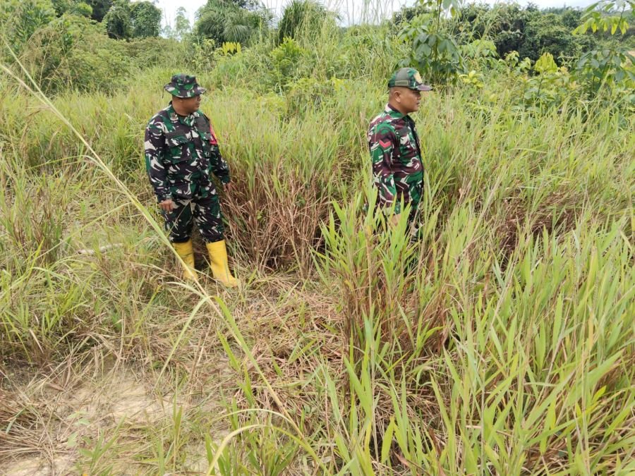 Cegah Dini Karhutla, Babinsa Koramil 03/Mandau Patroli Rutin di Jalan Rangau Desa Petani