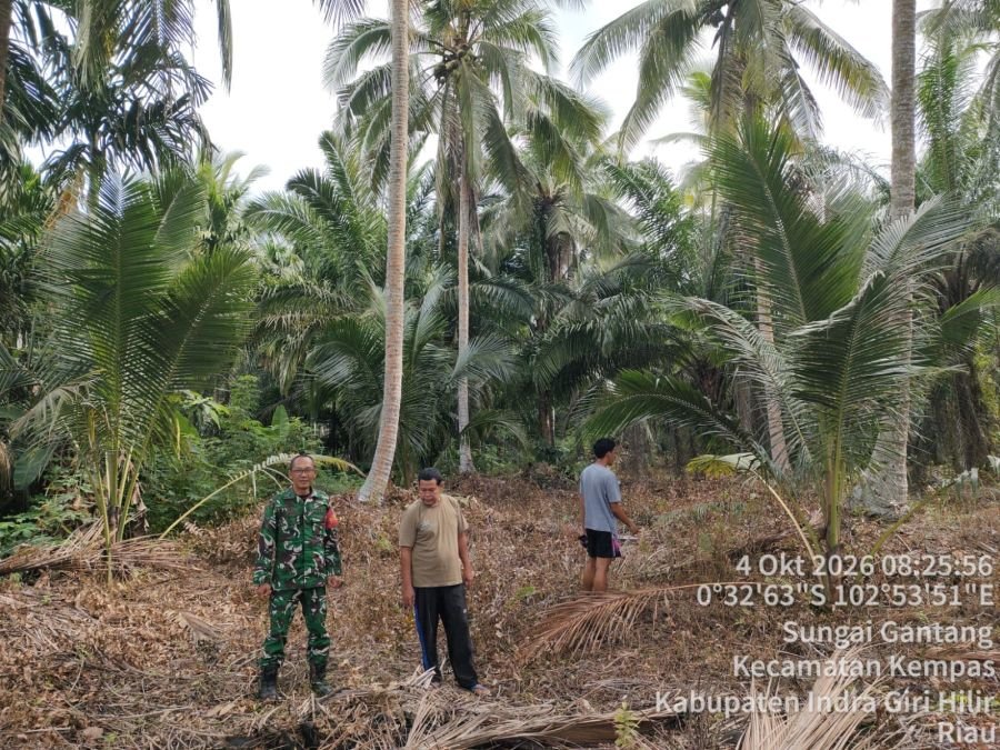 Cegah Karhutla, Babinsa 03/Tpl dan Warga Tetap Sisir Tapal Batas Meski Mendung