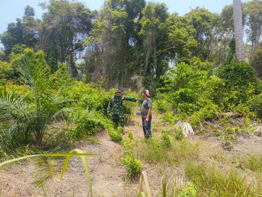 Cegah Karhutla, Babinsa dan Warga Sisir Lahan di Teluk Lecah