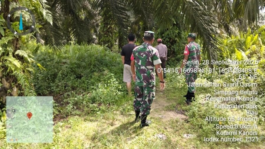 Cegah Karhutla, Babinsa Kandis Sisir Wilayah Simpang Belutu