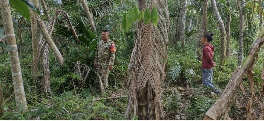 Cegah Karhutla, Babinsa Koptu Dedi Swarman Rutin Laksanakan Patroli dan Sosialisasi di Desa Bantan A
