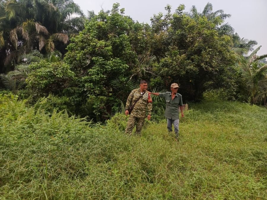 Cegah Karhutla, Babinsa Koramil 01/Rumbai Sisir Wilayah Rawan dengan Motor Dinas