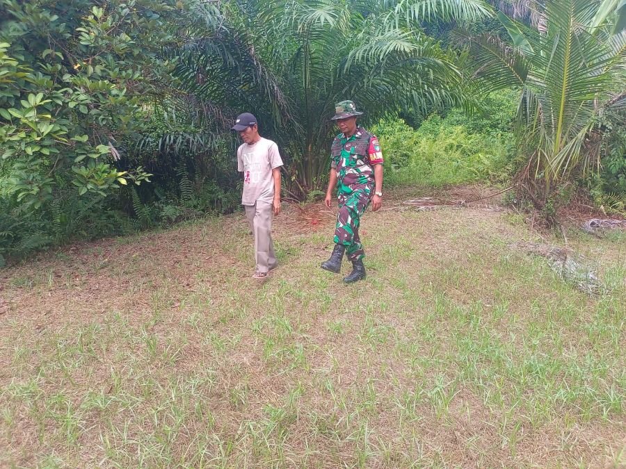 Cegah Karhutla, Babinsa Koramil 01/Rumbai Intensifkan Patroli di Wilayah Binaan