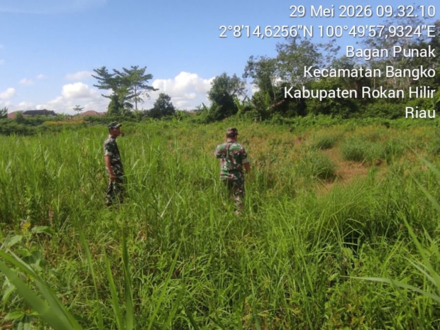 Cegah Karhutla, Babinsa Koramil 01/Bangko Gencarkan Patroli di Kelurahan Bagan Punak