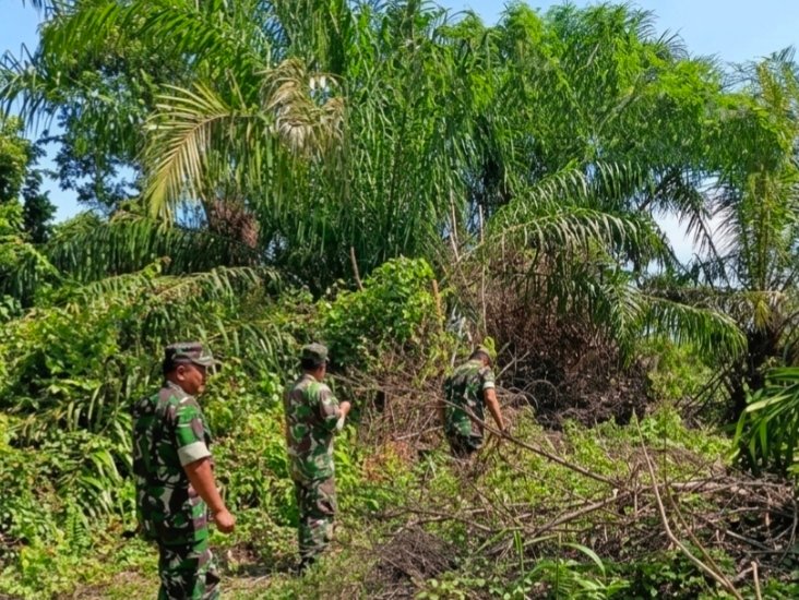Cegah Karhutla, Babinsa Koramil 01/Bangko Gencarkan Patroli di Wilayah Labuhan Tangga Baru