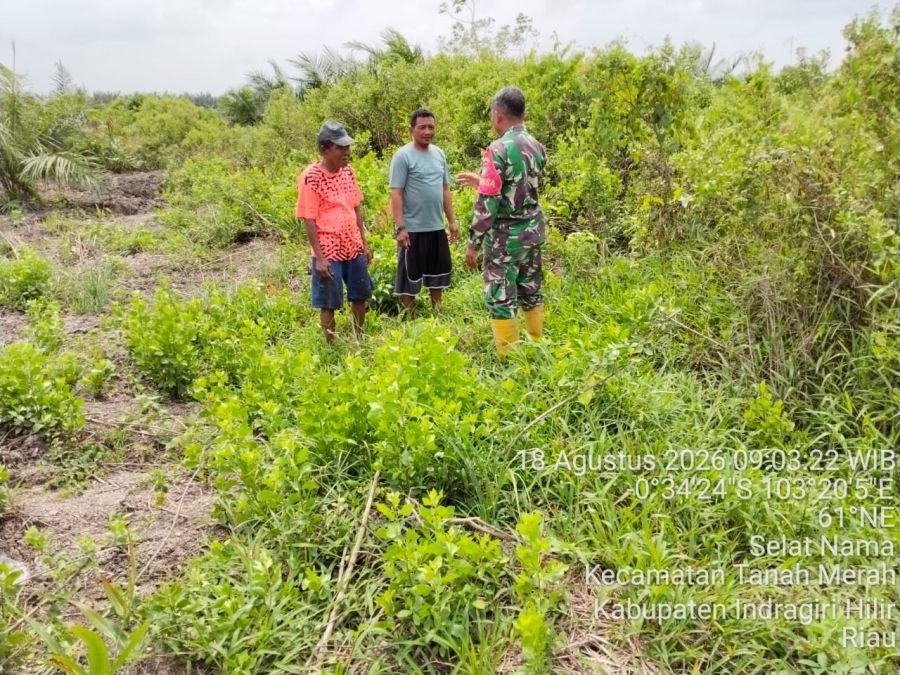 Cegah Karhutla, Babinsa Koramil 02/TM Gencar Patroli dan Sosialisasi di Tapal Batas Desa Selat Nama