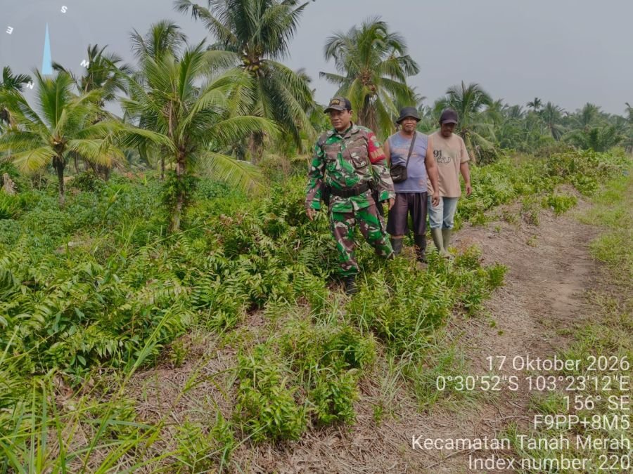 Cegah Karhutla, Babinsa Koramil 02/TM Patroli dan Sosialisasi di Tapal Batas Tanah Merah