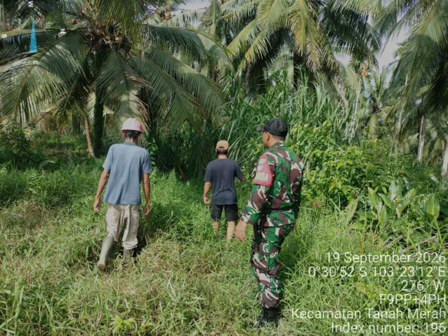 Cegah Karhutla, Babinsa Koramil 02/Tanah Merah Patroli Tapal Batas Bersama Masyarakat