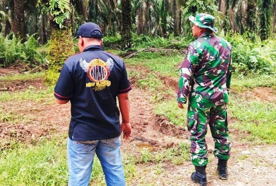Cegah Karhutla, Babinsa Koramil 02 Rambah Kodim 0313/KPR Tingkatkan Patroli