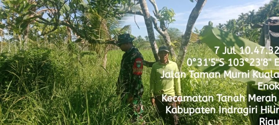 Cegah Karhutla, Babinsa Koramil 02/TM Gelar Patroli Tapal Batas di Kuala Enok