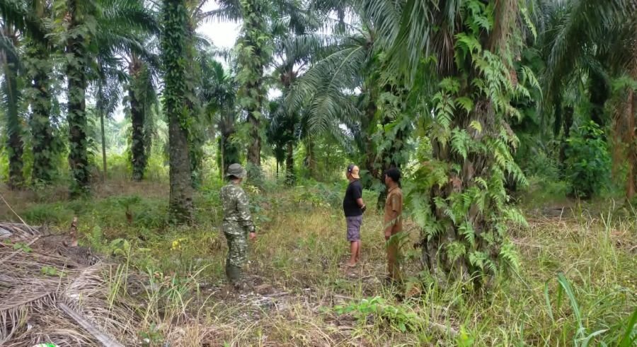 Cegah Karhutla, Babinsa Koramil 03/SS Gencarkan Patroli dan Sosialisasi Larangan Membakar Lahan