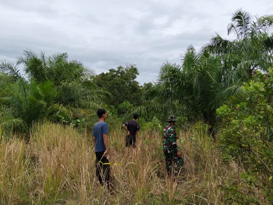 Cegah Karhutla, Babinsa Koramil 05/Bukit Batu Terus Gencarkan Patroli dan Edukasi Warga