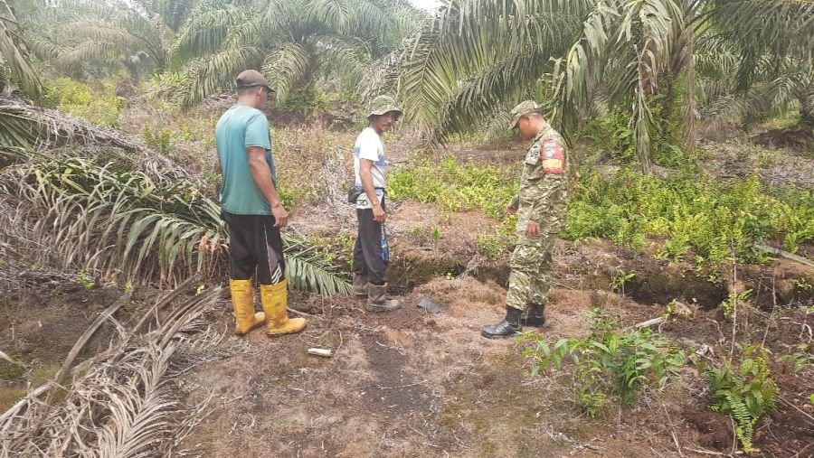 Cegah Karhutla, Babinsa Koramil 05/Bukit Batu Bersama Warga Sisir Daerah Rawan di Desa Sepotong