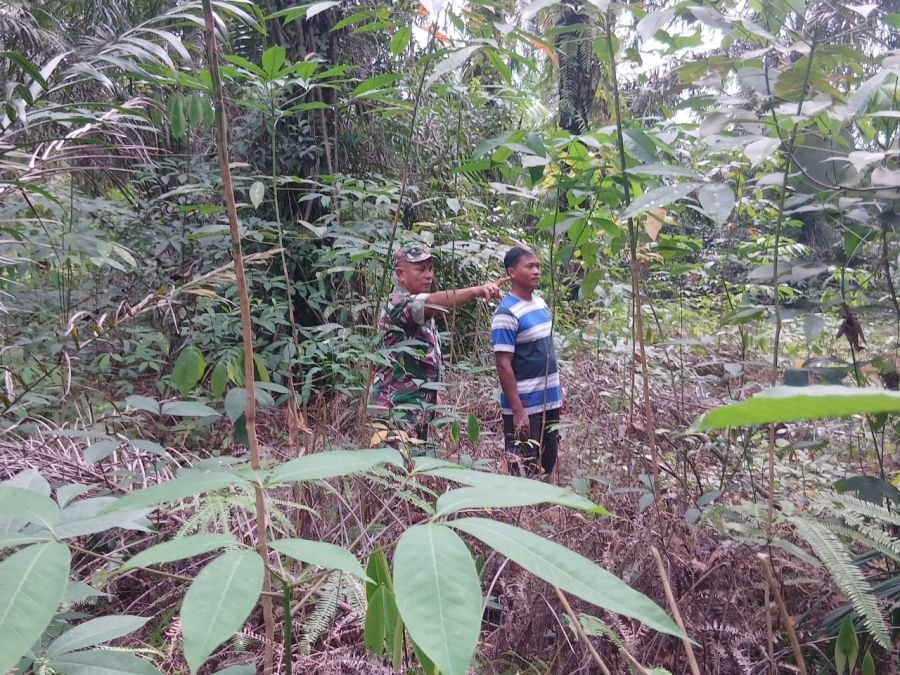 Cegah Karhutla, Babinsa Koramil 05/RM dan MPA Gencarkan Sosialisasi Peduli Api di Bangko Balam