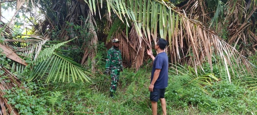 Cegah Karhutla, Babinsa Koramil 06/Merbau Patroli di Wilayah Rawan Gambut Desa Semukut