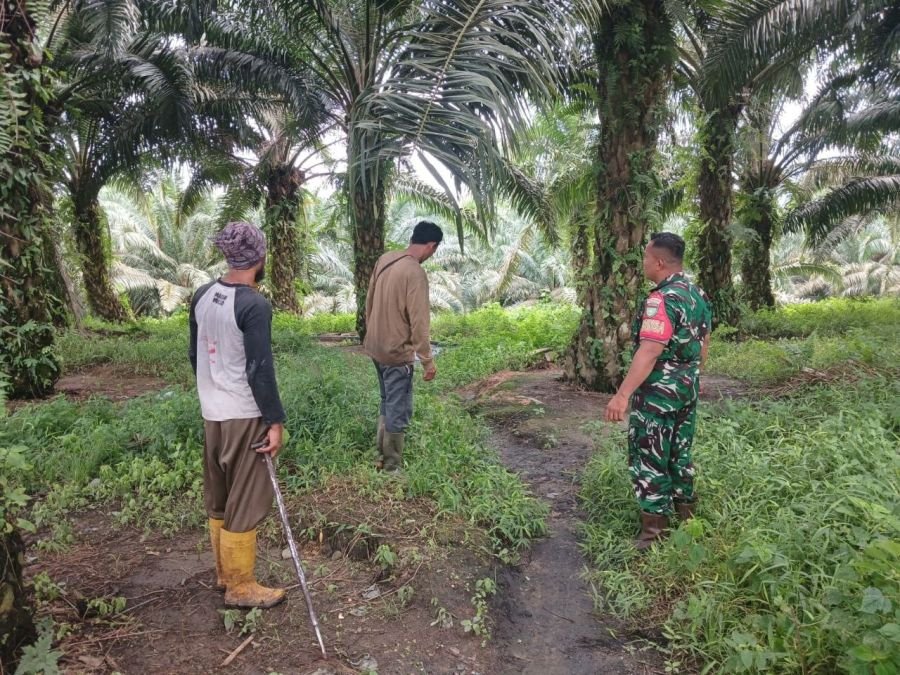 Cegah Karhutla, Babinsa Koramil 06/Cerenti Rutin Patroli di Desa Pulau Busuk Jaya