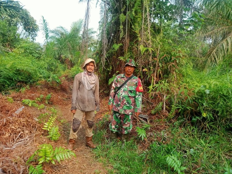 Cegah Karhutla, Babinsa Koramil 07/Tenayan Raya Bersama Warga Sisir Wilayah Industri Tenayan
