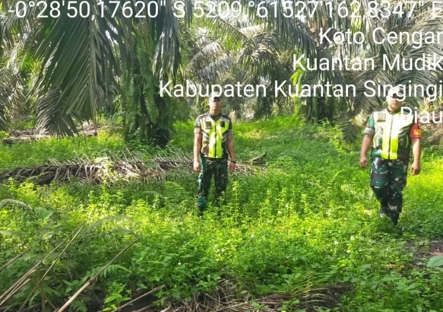Cegah Karhutla, Babinsa Koramil 08/KM Gelar Patroli Lahan Rawan Kebakaran