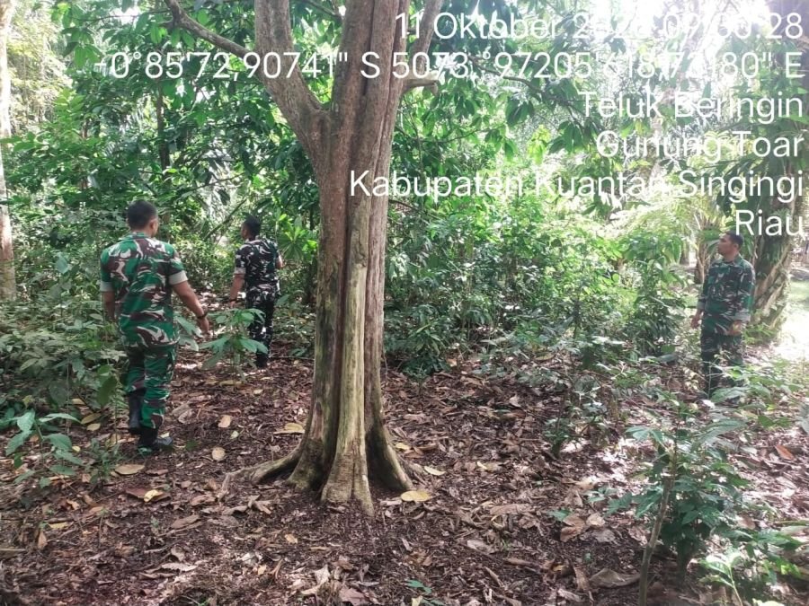 Cegah Karhutla, Babinsa Koramil 08/KM Gelar Patroli di Lahan Rawan Kebakaran