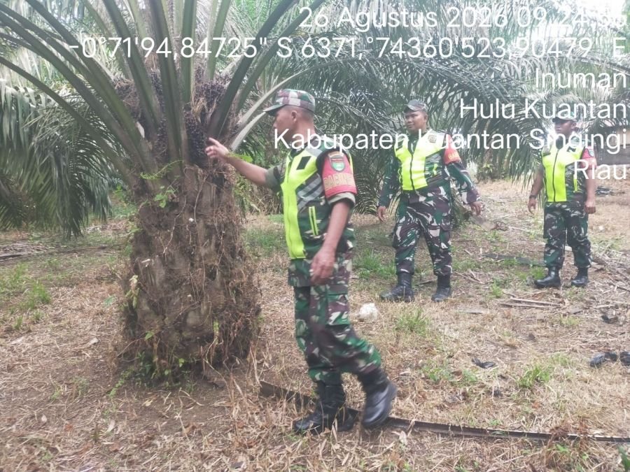 Cegah Karhutla, Babinsa Koramil 08/KM Gelar Patroli Lahan Rawan Kebakaran