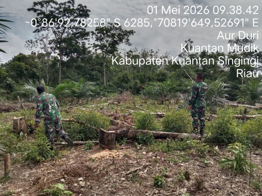 Cegah Karhutla, Babinsa Koramil 08/KM Gelar Patroli Lahan Rawan Kebakaran