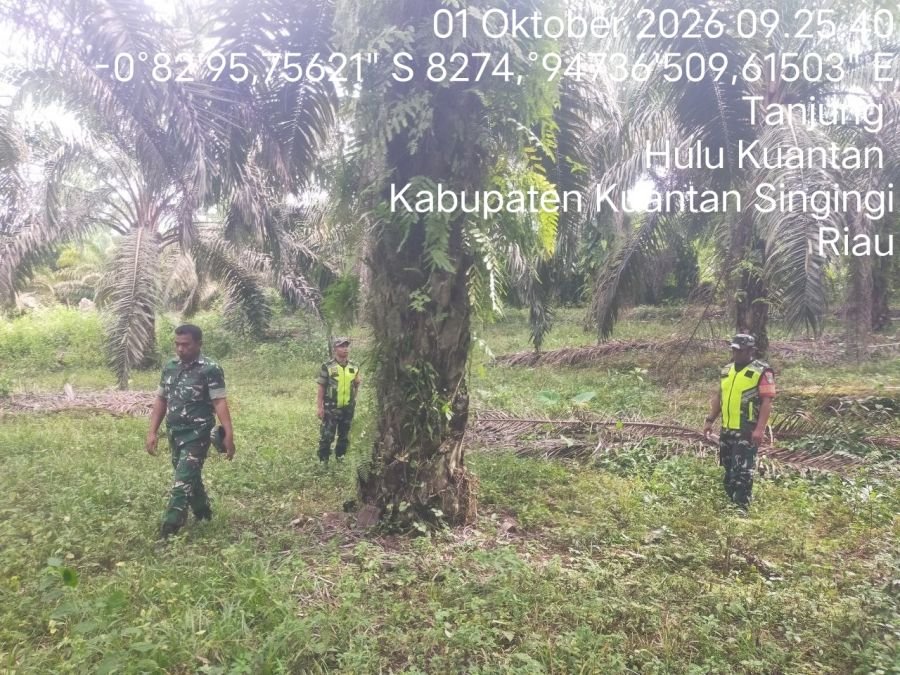 Cegah Karhutla, Babinsa Koramil 08/KM Gelar Patroli Lahan Rawan Kebakaran