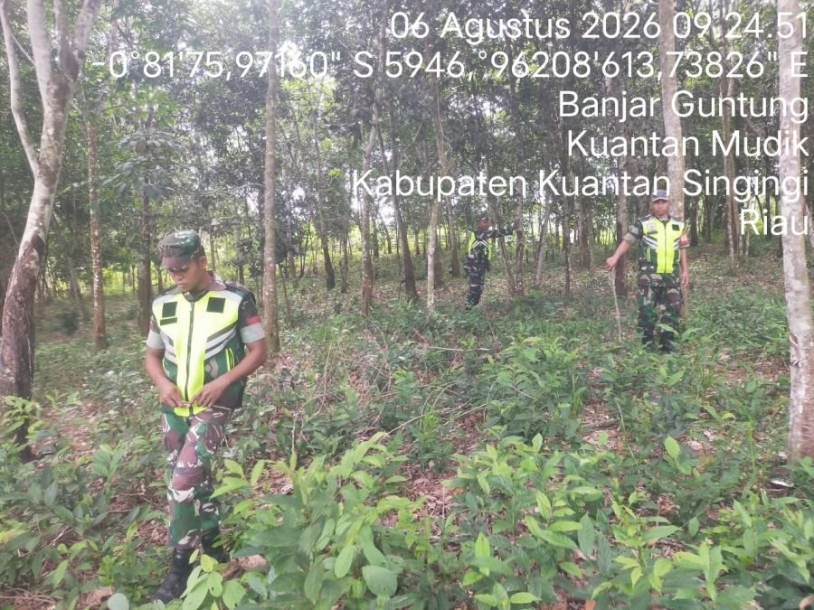 Cegah Karhutla, Babinsa Koramil 08/KM Gelar Patroli di Lahan Rawan Kebakaran