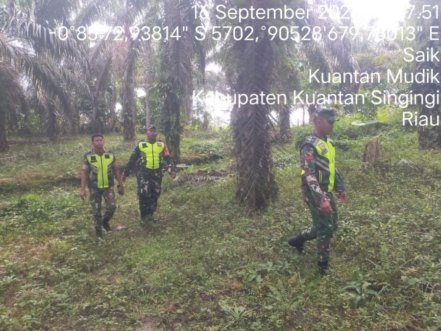 Cegah Karhutla, Babinsa Koramil 08/KM Gelar Patroli Lahan Rawan Kebakaran